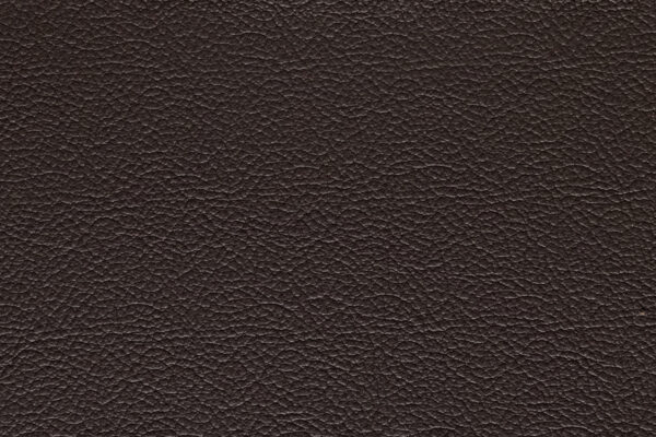 Miura Black Coffee | 641 (TPX 19-1111)