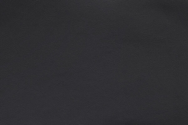 Nappa Siyah | 981 (TPX 19-0303)
