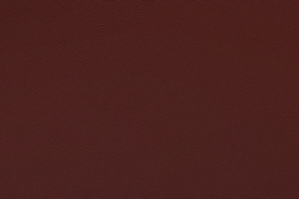 Relax Bordo | 427 (TPX 19-1533)