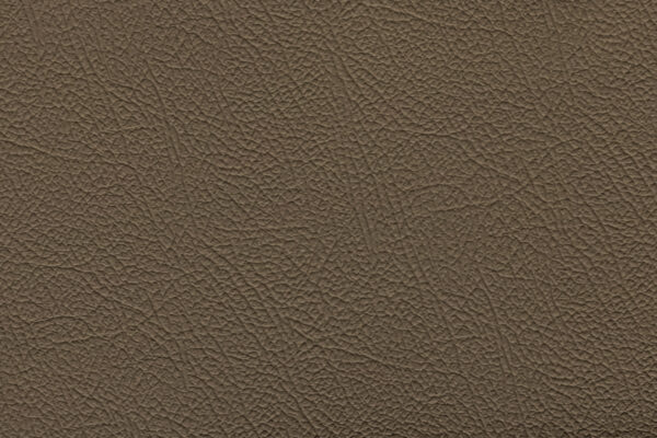 Espada Dark Beige | 283 (TPX 17-1009)