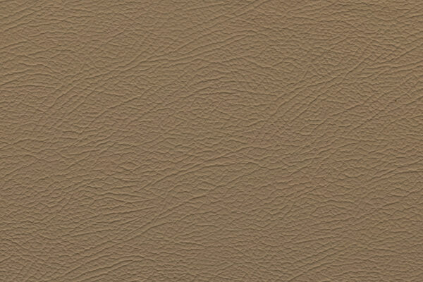 Espada Almond Beige | 299 (TPX 15-1307)