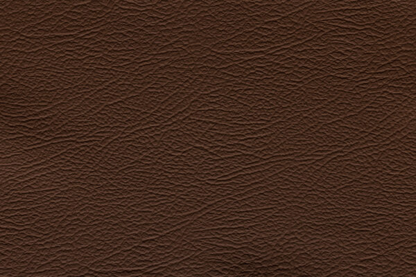Espada Brown | 669 (TPX 18-1130)