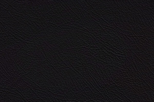 Espada Siyah | 951 (TPX 19-5708)