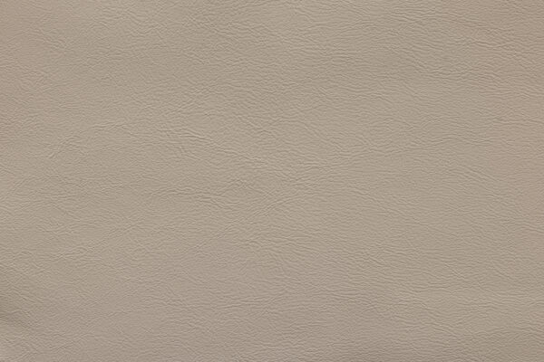 Nappa Bone | 260 (TPX 16-1105)