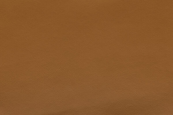 Nappa Mustard | 338 (TPX 18-0950)