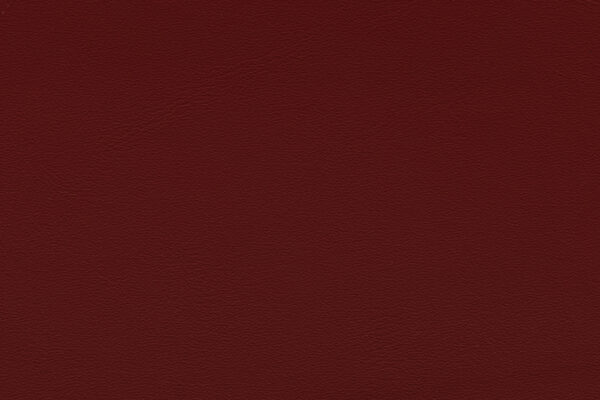 Relax New Red | 364 (TPX 19-1531)