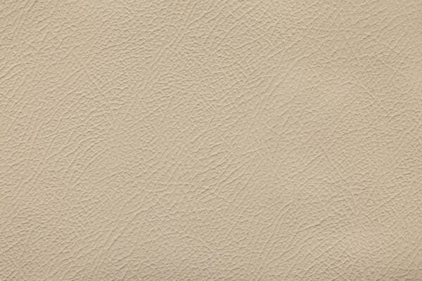 Espada New Latte | 222 (TPX 12-0304)