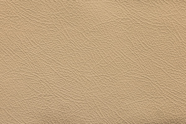 Espada Ivory | 266 (TPX 15-1218)